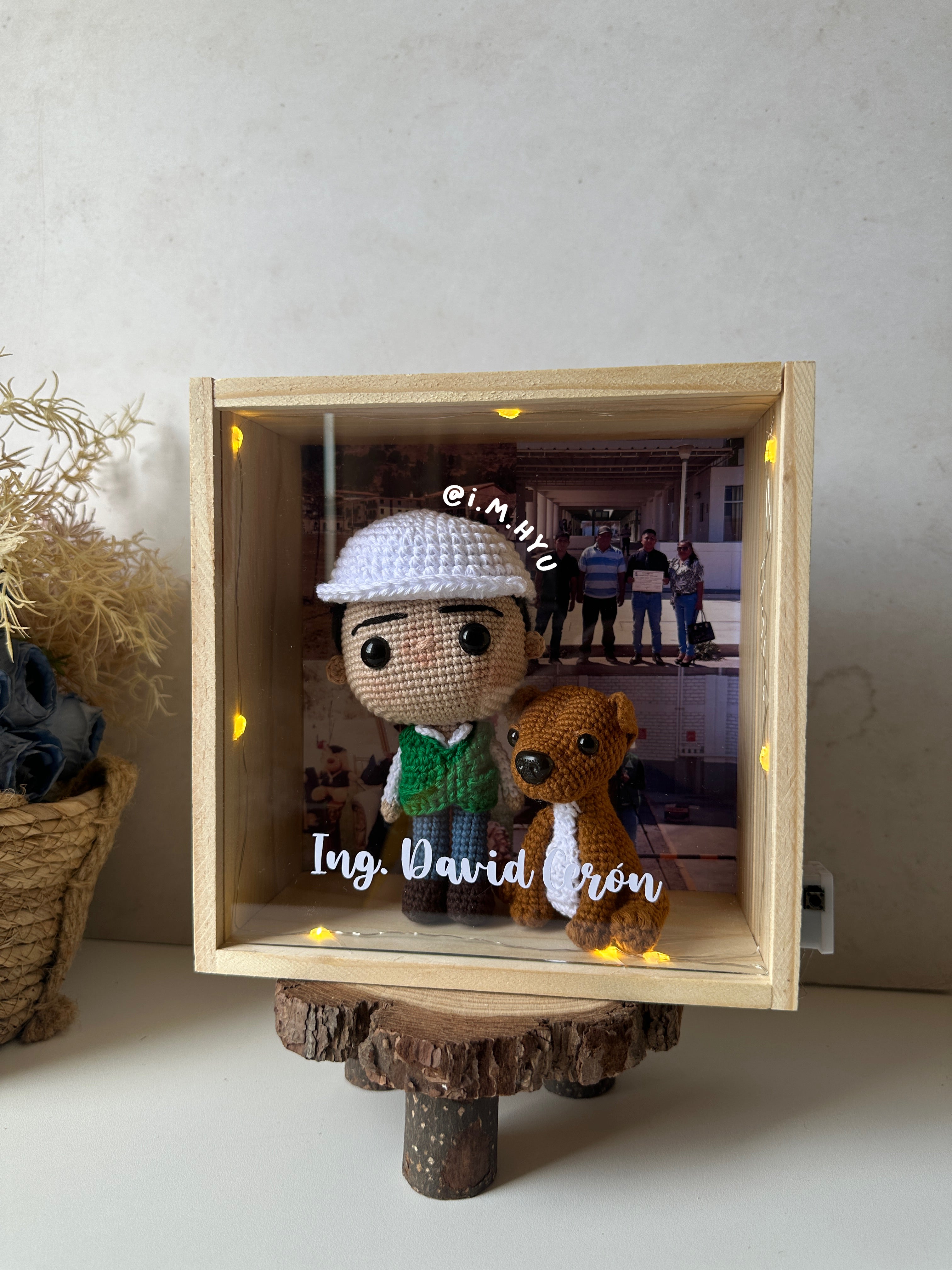 FUNKO + MASCOTA EN CUADRO DE PINO