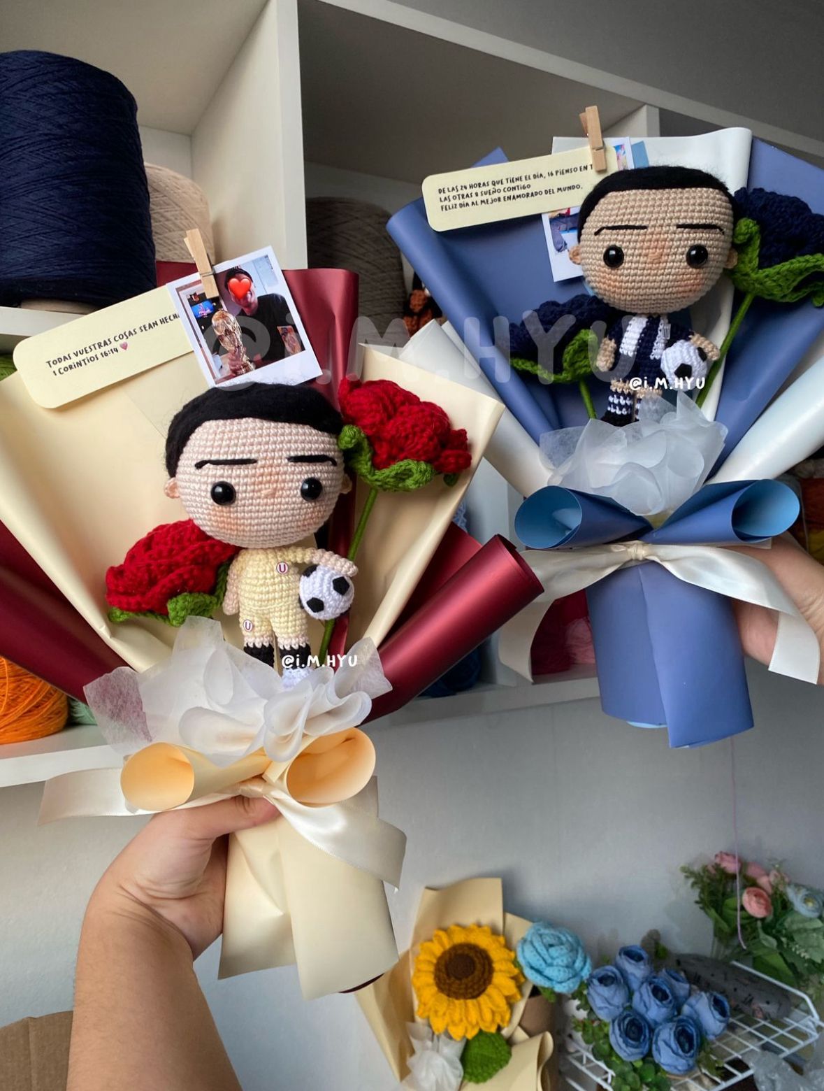 RAMO ALIANCISTA / UNIVERSITARIO