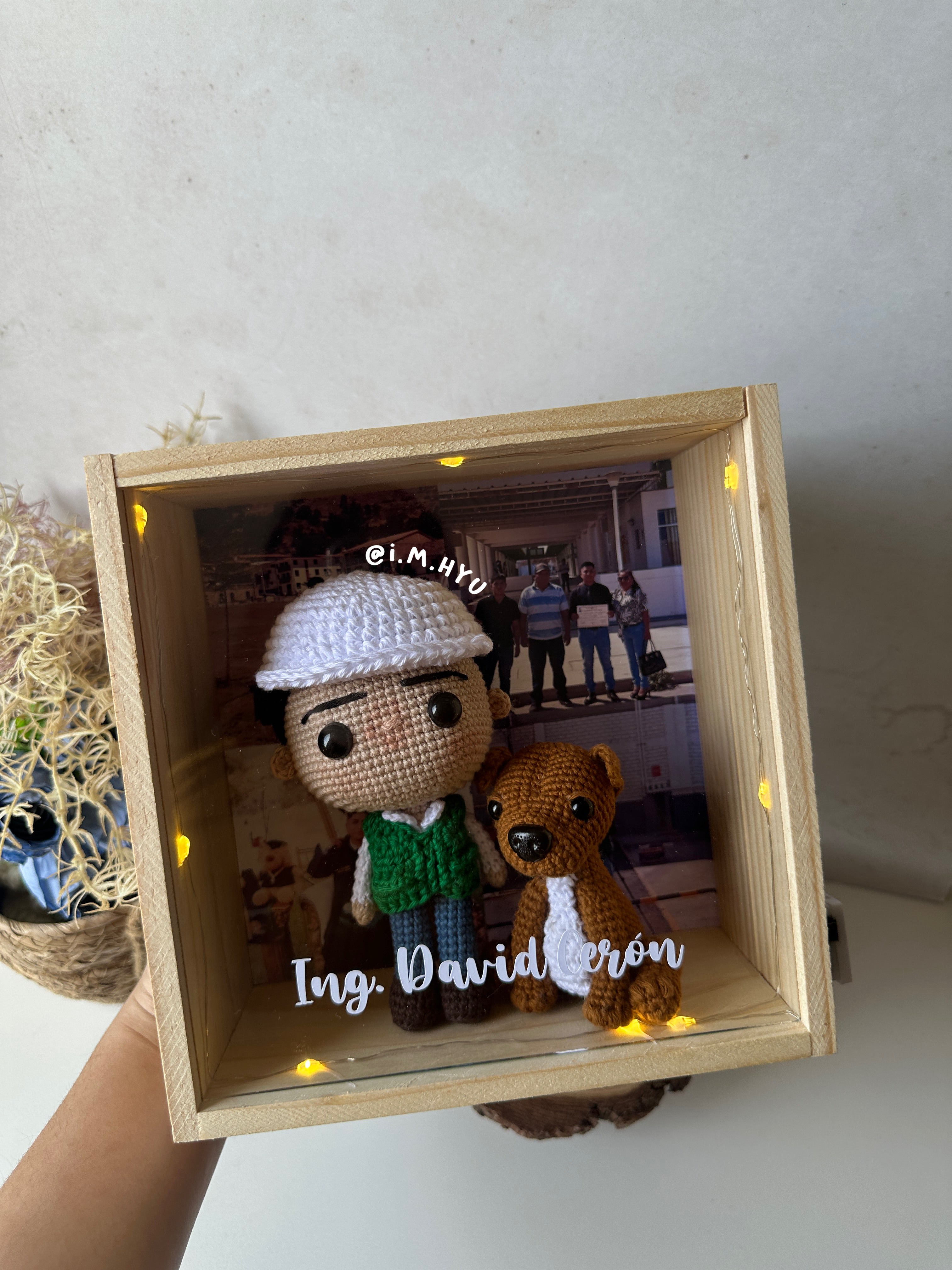 FUNKO + MASCOTA EN CUADRO DE PINO